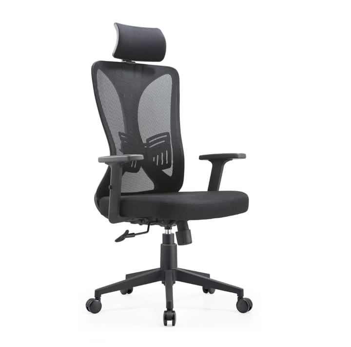Black Executive Ergonomic Chair — view 2